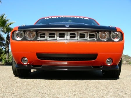 Mr. Norms Super Cuda 2009 - 2009, super cuda