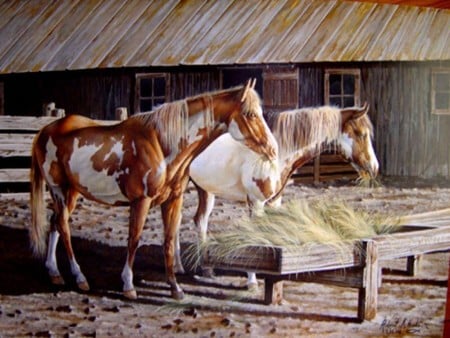 appaloosa/paint horses - house, paint, horses, appalosa, animals