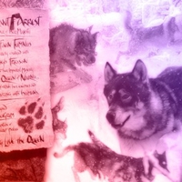 Chronicles of Narnia