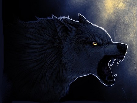 werewolf - wolf, dark, fantasy, werewolf