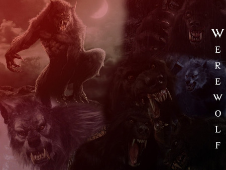 werewolf - werewolf, fantasy, dark, wolf