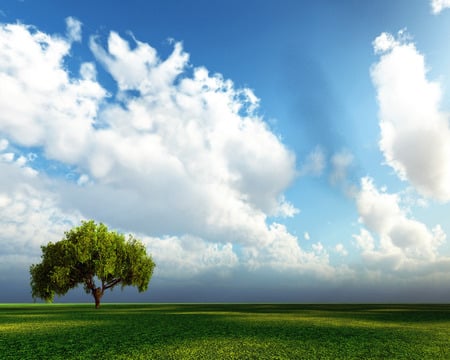 Nature's Beauty In Silence !!! - nature, sky, cloud, blue, plant, green, field, tree