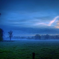 Nature In Blue Colour !!!