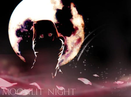 Moonlit Night - tsukihime