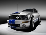 shelby