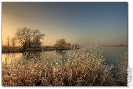 Winter morning - vegetation, blue, snow, winter morning, lake, seasons, color, sun, oceans, winter, water, beautiful, beauty, colors, morning, ocean, tree, popular, frozen, nature, sunset, season, lakes