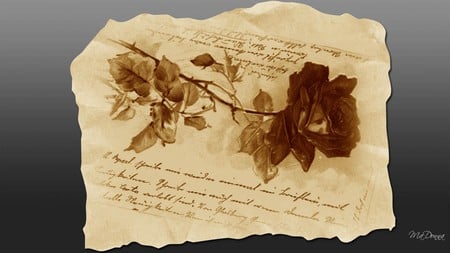 Letter from the Past - rose, parchment, writing, script, letter, old, card, antique, vintage