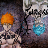 Ichigo & Grimmjow