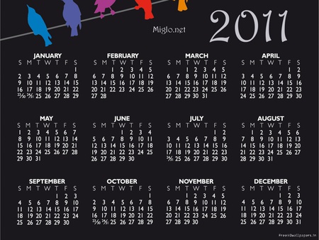 Keep track - color, black, 2011, calender