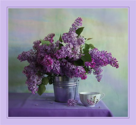 beauty in a bucket - cloth, bucket, wall, table, blooms, flowers, cup