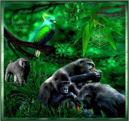 Great apes - branches, trees, jungle, parrot, family, green, gorillas