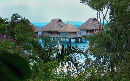 Bora Bora Bungalows - beach, tropical, bora bora, paradise