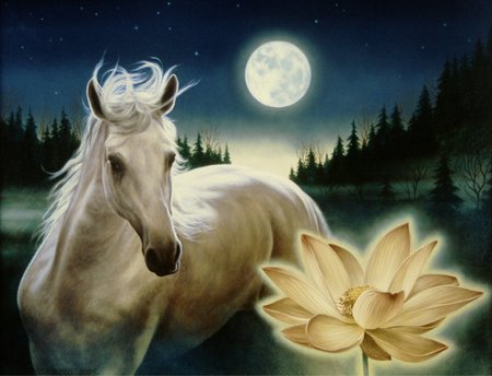 Nightflower - moon, horse, forest, night, flower