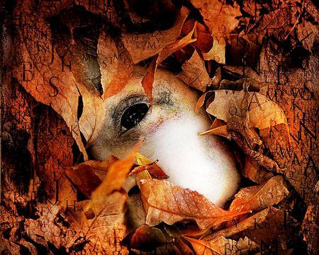 The Alphabet Killer - beautiful, eyes, entertainment, leaves, the alphabet killer, nature, mask, autumn, movies, leaf