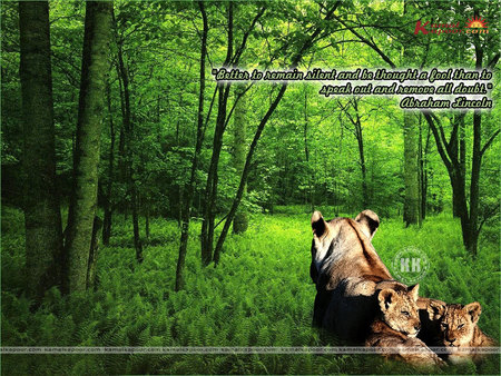 Abraham Lincoln qoute - silence, lion, forest, quote, abraham lincoln, wildlife