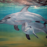 dolphins in water