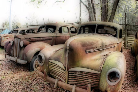 Graveyard Of Memories - rusted, cars, auto, old cars