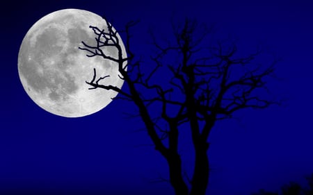 TreeMoon - moon, tree, fantasy, blue