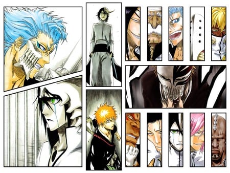 Bleach Guys