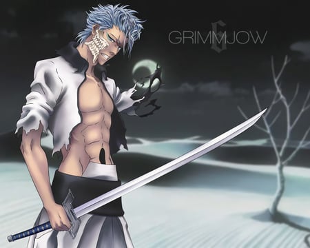 Grimmjow - grimmjow, jeagerjaques, espada, bleach