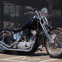harley