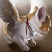 Angel Kitty