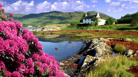 beautiful cottage - cottage, landscape, small lake, beautiful, green, spring flowers, mountains