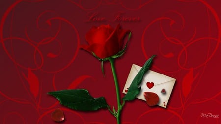 Love Forever - red rose, valentine, valentines day, rose petals, love