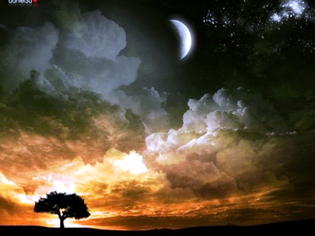 Beauty above - moon, stars, gold sky, clouds, night, tree, sunset