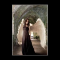 ANGEL WINGS