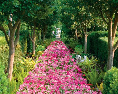 Fragrant-Pathway - red, pink, landscape, flowers, aoutdoors, trees, nature