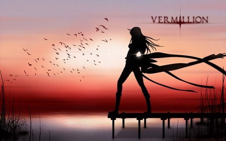 Vermillion Sunset - anime, anime girl, birds, female, water, beautiful, silhouette, cool, reflection, long hair, blazblue, red sky, sky, noel vermillion