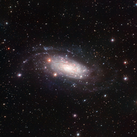 NGC 3621