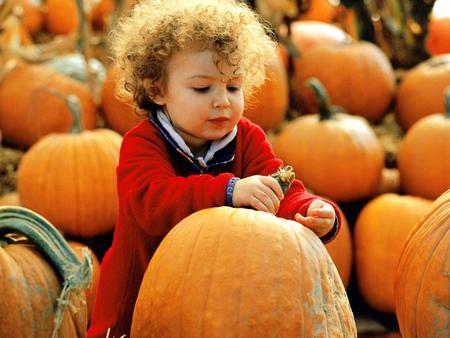 Sweet pumpkin ;) - kid, pumpkins, people, colour, girl, pumpkin, orange, sweet, child, photograph, curly, little, curls