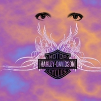 Harley Wings