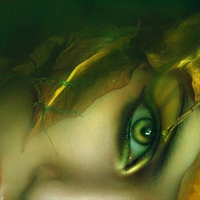 Fantasy Face