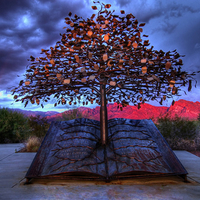 The Tree of Knowledge