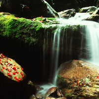 Tarako National Park Taiwan