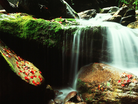 Tarako National Park Taiwan - water, moss, leaves, spray, waterfall, cascade, pool, red, green, asia, rocks