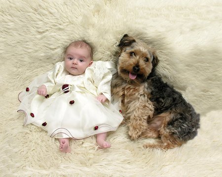 Friendship baby dog - friendship, child, people, baby, pet, puppy, love, dog