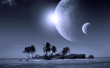 Fantasy moon - moon, blue, night, palm, sea, fantasy