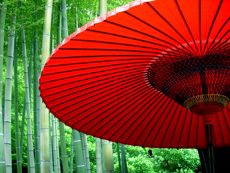 red umbrella - beauty, nature, red, green, bamboo, still life