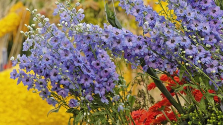 flowers - red, beautiful, flowers, yellow, arrangement, blue