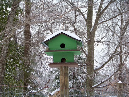 Bird House - winter, bird house, ice, birds