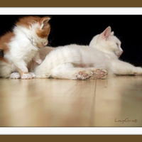 Kitty and her Mom
