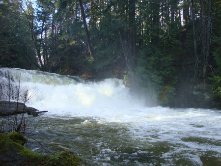 Bowen Park - river, rainbow, nature, falls