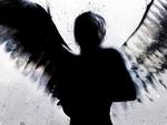 Shadow of angel