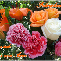 Flowers for my Friends