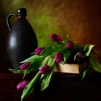 Purple Tulips