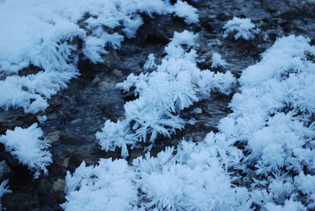 Ice Flowers - winter, ice, frozen, river